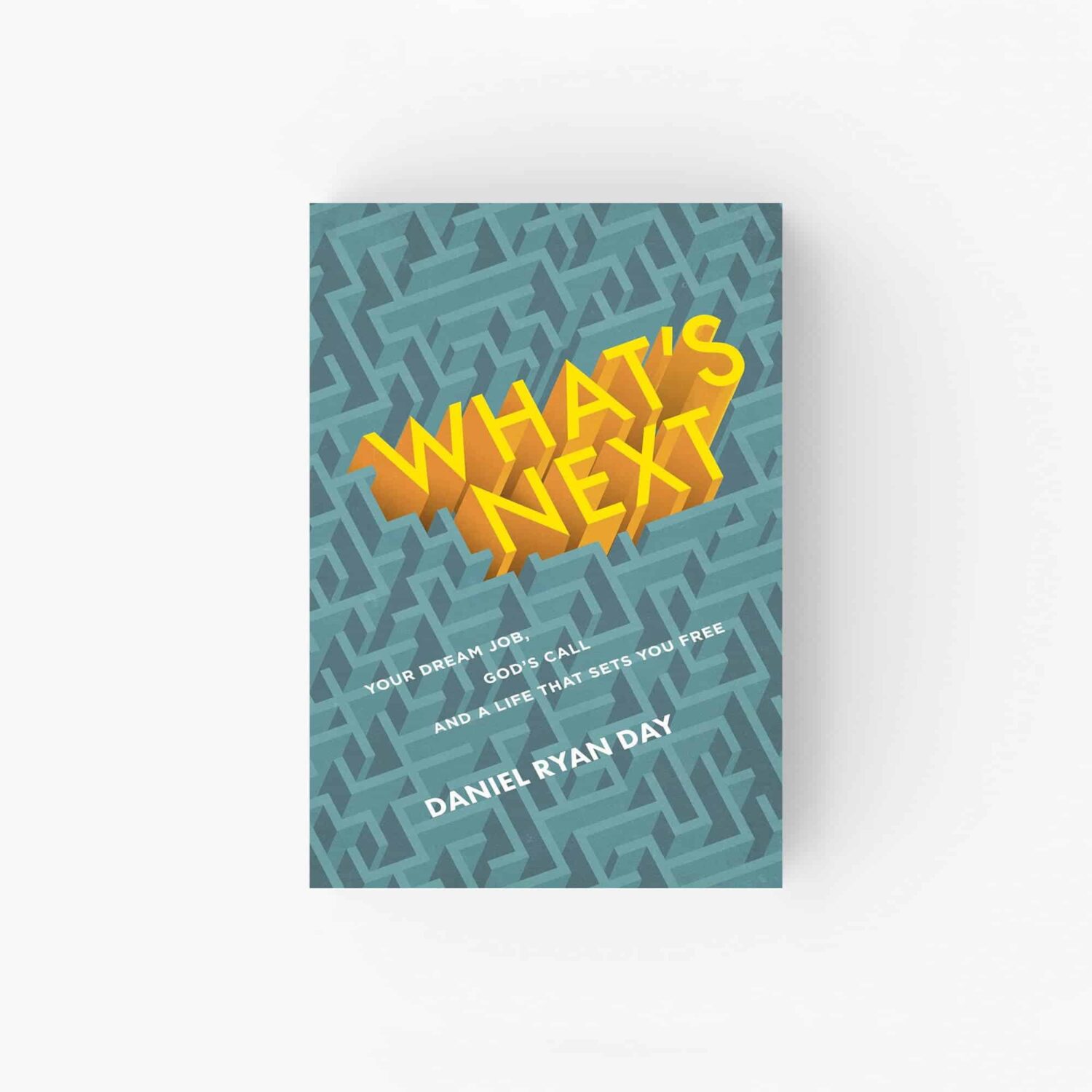 What's Next: Your Dream Job, God's Call, and a Life That Sets You Free